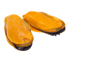 mussels isolated