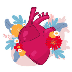 Heart vector design. Realistic anatomy pictures. Human body internal organs,