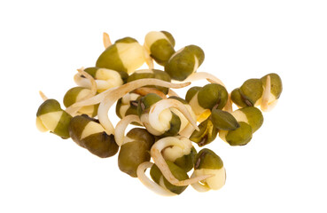 sprouted mung bean isolated