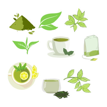 Green tea powder, Green tea leaves, A cup of green tea, Green tea bag isolated on white background. Vector illustration