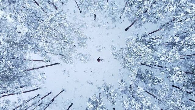 winter forest from above, a man in the snow