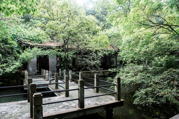 Hiking Trail In the Hangzhou Zoo. Beautiful nature