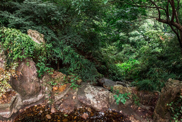 Hiking Trail In the Hangzhou Zoo. Beautiful nature