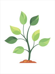 Vector illustration of a Tree. Cartoon Illustration for the theme of Nature, healthy lifestyle, career growth.

