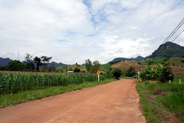 road in the countryside