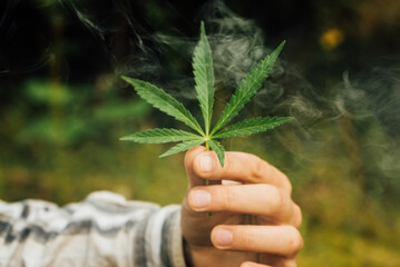 green marijuana leaf in smoke in male hand, medical cannabis for smoking and health 2