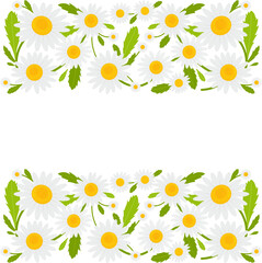 Obraz premium Daisy flowers banner background. Vector illustration