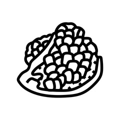 cut pomegranate fruit line icon vector. cut pomegranate fruit sign. isolated contour symbol black illustration