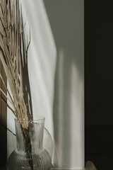 Dried palm leaf stem in glass vase with sunlight shadows on the wall. Minimal interior decoration design