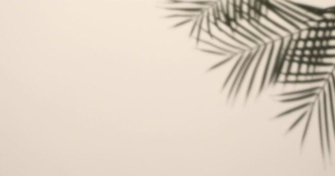 blurry and abstract of silhouette palm leaves shadow on beige wall. copy space and flat lay