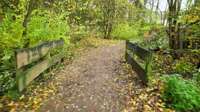 Pathway over a small foot bridge in woods at Venusberg, Bonn on a beautiful and cold Autumn morning