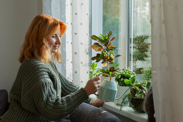 Woman watering house plants at the window