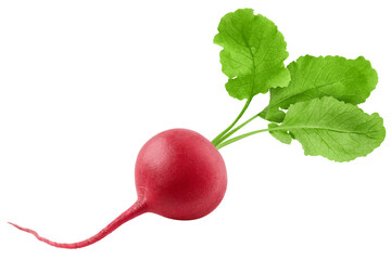 Radish isolated on white background, clipping path, full depth of field