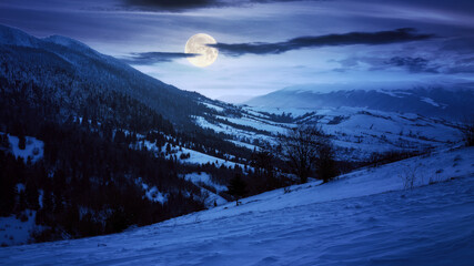 carpathian rural landscape in winter at night. snow covered hills in full moon light. scenery with...