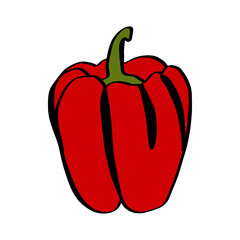 A simple doodle illustration of bright juicy sweet pepper. Sweet Bulgarian pepper.