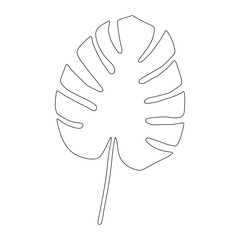Exotic monstera. Continuous one-line drawing. Handmade summer tropical leaf on white background. Minimalist design. Maranta leaf.