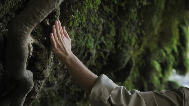 A beautiful cinematic shot with soft sunlight, the hand of a young woman under a waterfall stroking the root of a tropical tree and a rock with moss. The concept of unity with nature