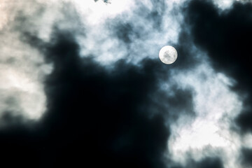 Naklejka na ściany i meble full moon and clouds