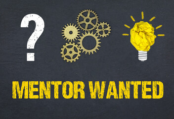 Mentor Wanted	

