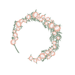 Hand drawn round wreath with protea pink flowers. Flat vector illustration.