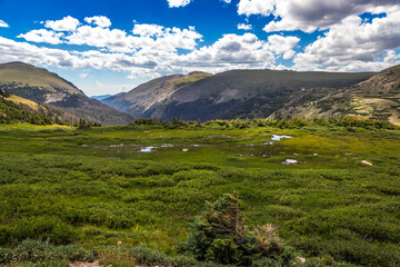 Fototapeta na wymiar Brilliant Green Panoramic Views from the Old Fall River Road, Rocky Mountain National Park, Colorado