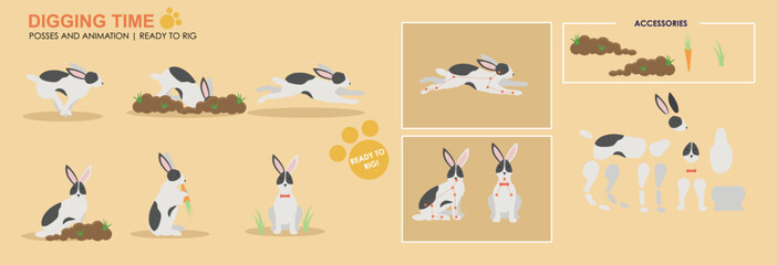 Cute black and white rabbit, bunny eating with accessories ready for animation vector, collection of multiple poses and positions. Bunny eating carrots
