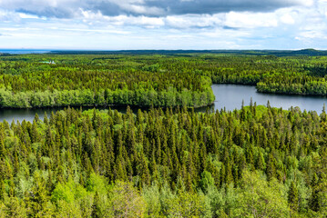 Obraz premium Panoramic view of Solovetsky Island from Sekirnaya Mountain.