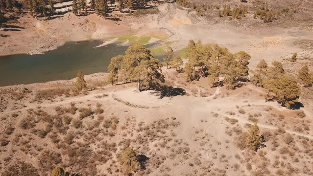 Aerial shot of the Cassandra tree located in the Las Ni&ntilde;as water dam in the municipality of Tejeda, on the island of Gran Canaria.