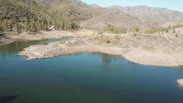 Fantastic aerial shot in distance of the famous Cassandra tree on a sunny day and where you can see the grove of the place. Located in the Las Ni&ntilde;as water dam in the municipality of Tejeda.