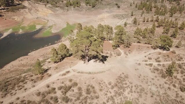 Fantastic aerial shot in orbit of the famous Cassandra tree on a sunny day and located in the Las Ni&ntilde;as water dam in the municipality of Tejeda, on the island of Gran Canaria.