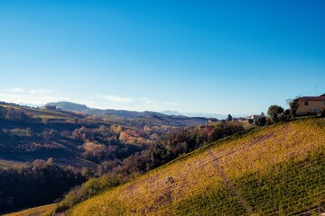 Fototapeta na wymiar landscapes of the Piedmontese Langhe: the vineyards. the vivid colors of autumn near Alba