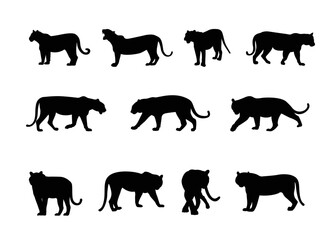 Set of stylized silhouettes of different poses tigers. Isolated on white background. Tiger logo designs set. Symbol, Vector.