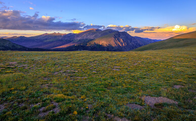 Mountain Meadow Sunset Views from the Trail Ridge Road, Rocky Mountain National Park, Colorado