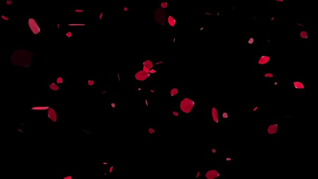 回転して舞い落ちる赤いバラの花びら