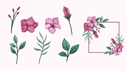 set of flowers illustration vector