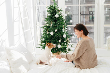 Photo of glad brunette young woman holds paw of favourite dog, wears brown sweater, sit on comfortable bed in cozy room, enjoy New Year holiday, beautiful decorated firtree stands near window