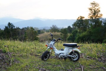 motorcycle in the forest
