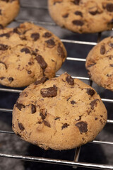 Homemade chocolate chip cookies on a cooling rack. On a dark stone background