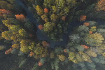 Picturesque forest location. Winding river. Multicolored trees. Air view.