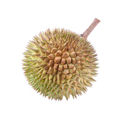 Durian on transparene png