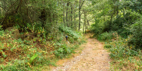 Fototapeta premium Lago de Sanabria y Sierras Segundera y de Porto Natural Park, Zamora, Castile and Leon, Spain, Europe