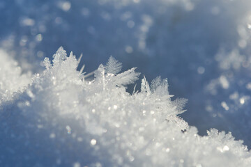 Ein kalter Wintermorgen mit Raureif	
