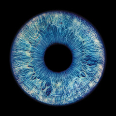 Blue eye iris - human eye - obrazy, fototapety, plakaty