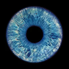 Foto op Plexiglas Blue eye iris - human eye © Aylin Art Studio