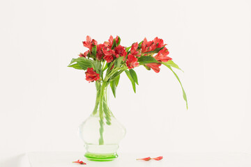 red alstroemeria in vintage glass vase on white background