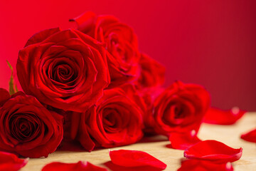 bouquet of red roses on red background