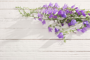 bluebell flowers  on white wooden background
