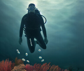 Diver diver underwater near beautiful reefs