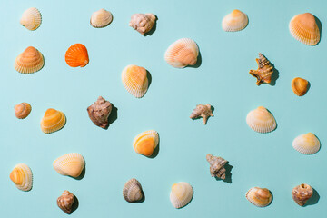 Many small seashells on a blue background. Marine background.