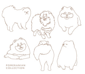 Pomeranian Dog Illustration Outlines - Many Poses